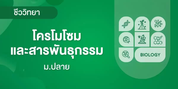โครโมโซม และสารพันธุกรรม