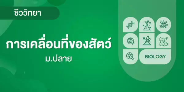 การเคลื่อนที่ของสัตว์