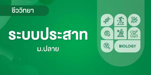 ระบบประสาท