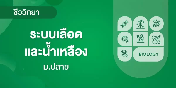 ระบบเลือด และน้ำเหลือง