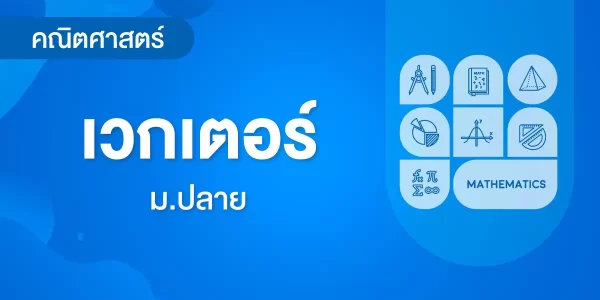 เวกเตอร์