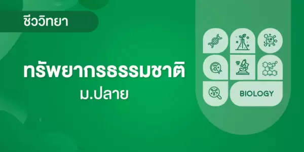 ทรัพยากรธรรมชาติ